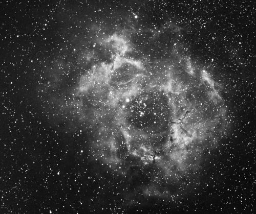 Rosette